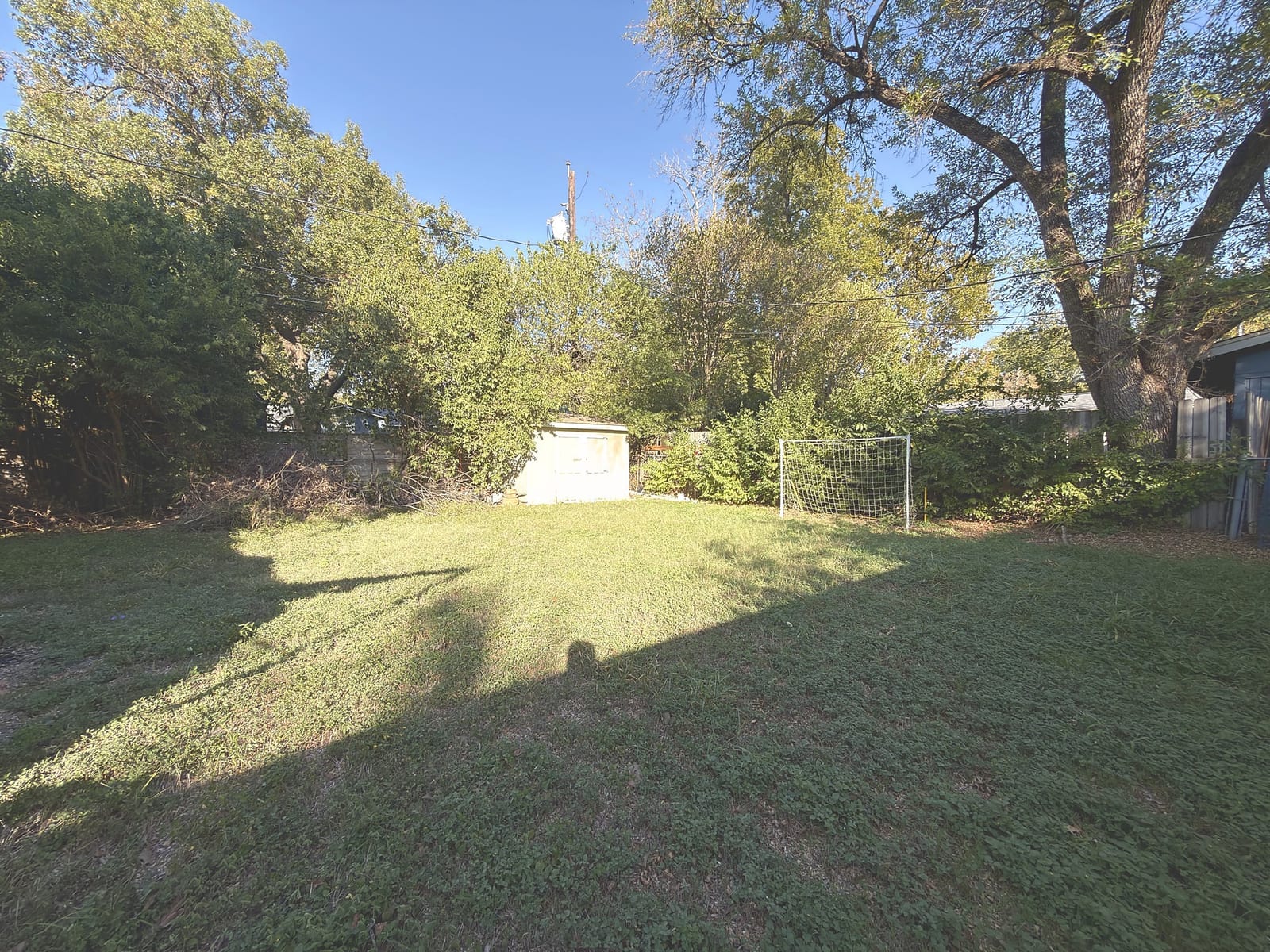 Backyard 2