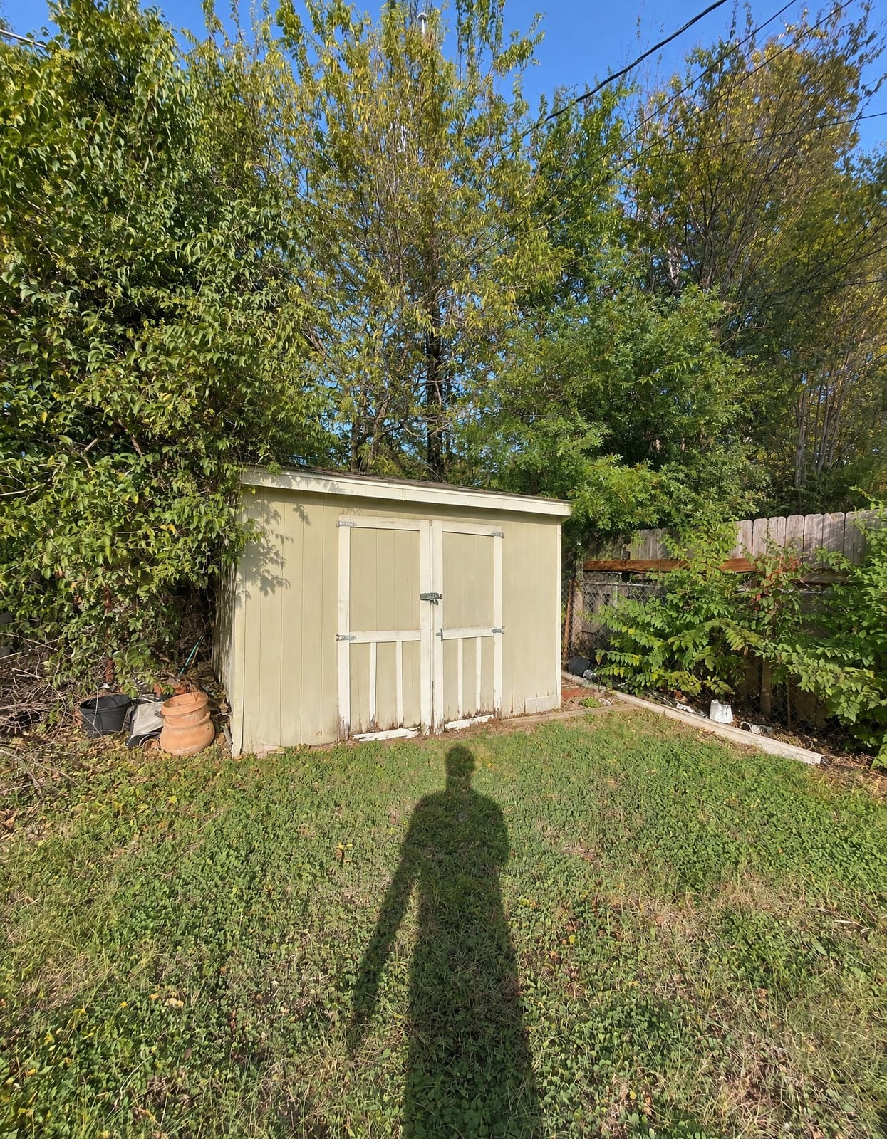 Shed